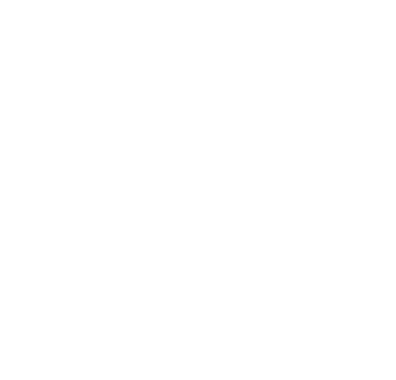 Security Boss
